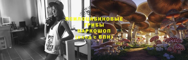 сатива Медногорск