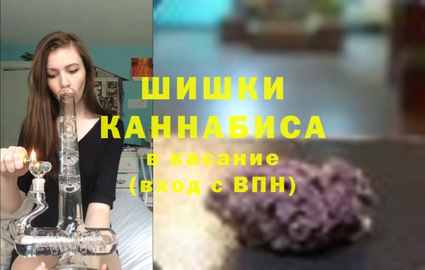 хмурый Михайловск