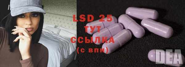 ПСИЛОЦИБИНОВЫЕ ГРИБЫ Михайлов