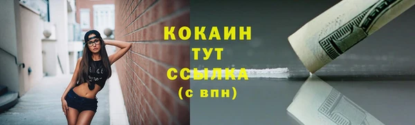 ПСИЛОЦИБИНОВЫЕ ГРИБЫ Михайлов
