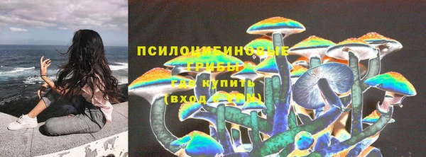 сатива Медногорск