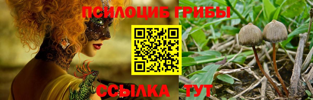 Псилоцибиновые грибы прущие грибы Карасук