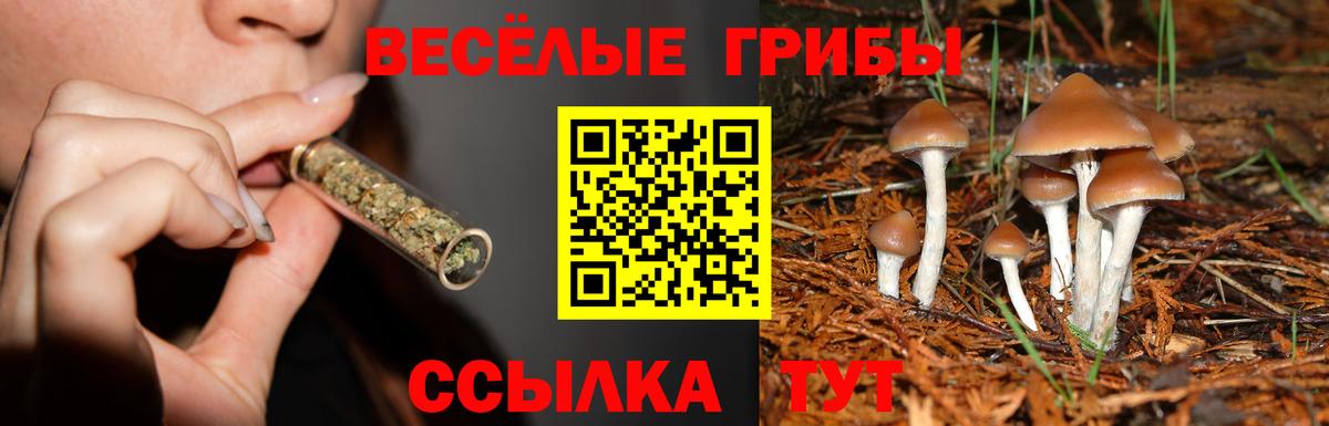 Галлюциногенные грибы мицелий  Вход с VPN  Карасук 